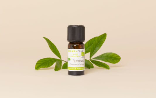 Huile essentielle Ravintsara (Ravintsare) BIO