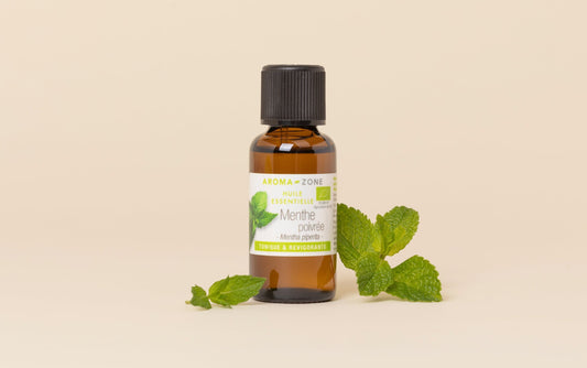 Huile essentielle Menthe poivrée BIO