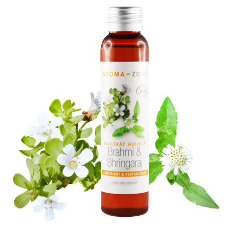 Huile de Brahmi & Bhringaraj BIO (macérât huileux)