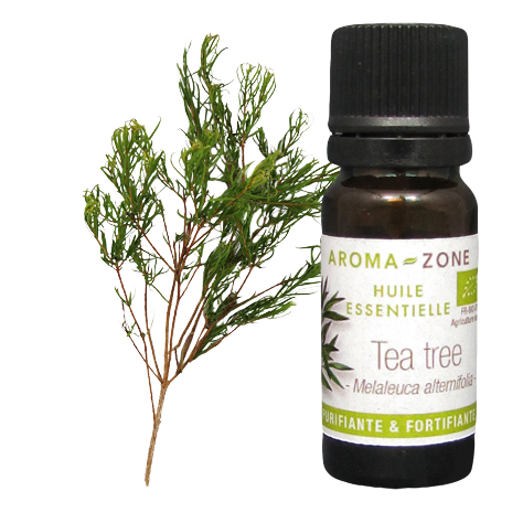 Huile essentielle Tea tree (Arbre à Thé BIO)