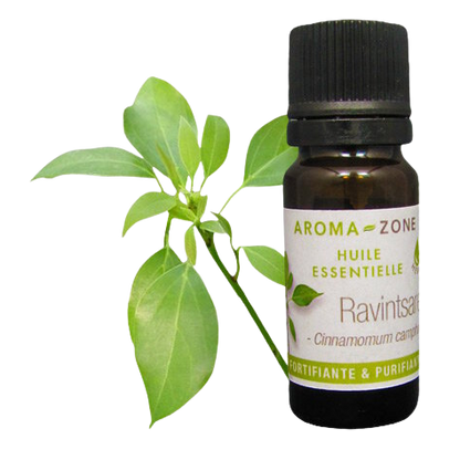 Huile essentielle Ravintsara (Ravintsare) BIO